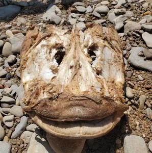 Meet your Posher, Janae'